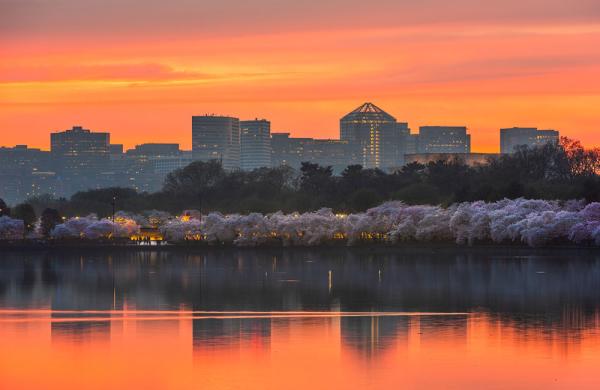 EJF is headquarters in Arlington, Virginia. (Bigstock photo)