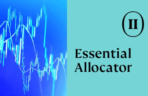 newsletter-eii-allocator-cover.jpg