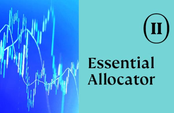 newsletter-eii-allocator-cover.jpg