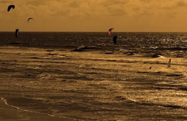 ocean-beach-large.jpg