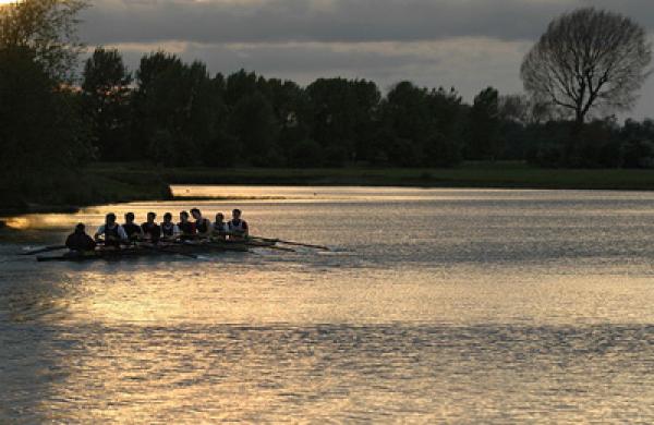 oxford-rowing-large.jpg