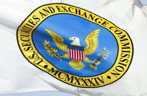sec-flag-large.jpg