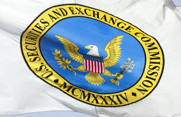 sec-flag-large.jpg