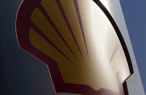 shell-big.jpg