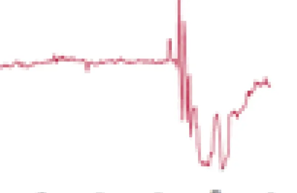 shortinggraph102.gif