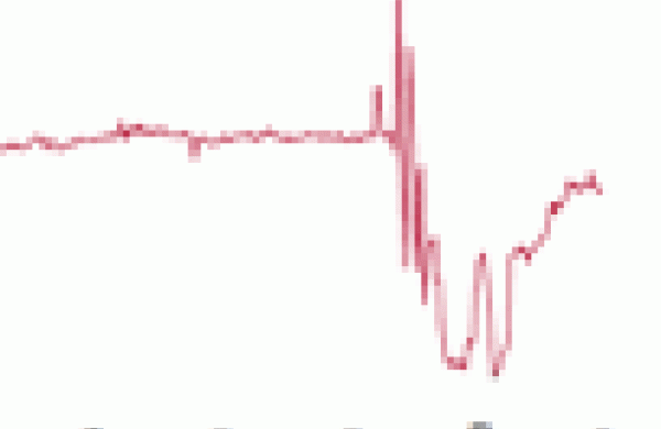 shortinggraph102.gif