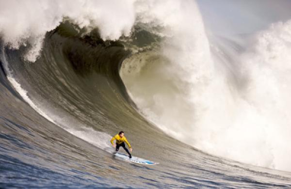 surf-contest-large.jpg