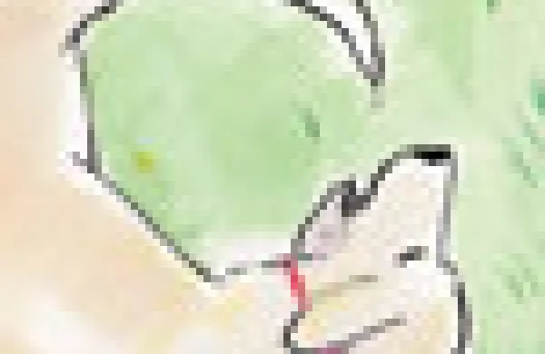th-in-depth-tail-end-risk.jpg