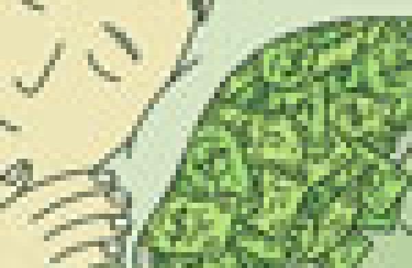 th-intel-defensive-cash.jpg