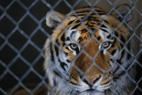 Matthew Staver/Bloomberg