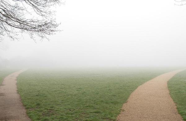 two-paths-am-large.jpg