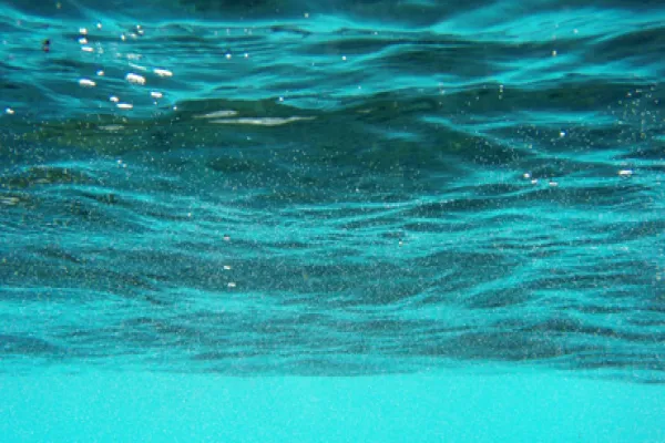 underwater-big.jpg