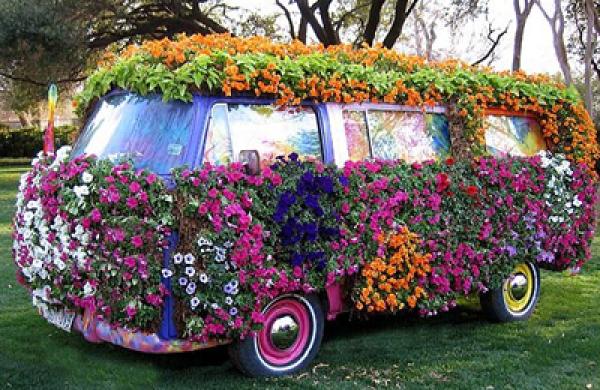 vw-ashby-large.jpg