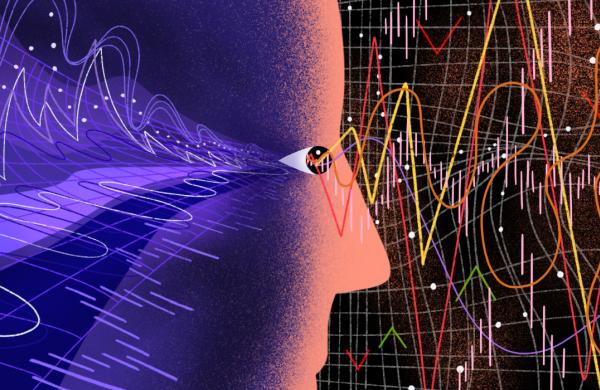 Illustrations by Molly Snee