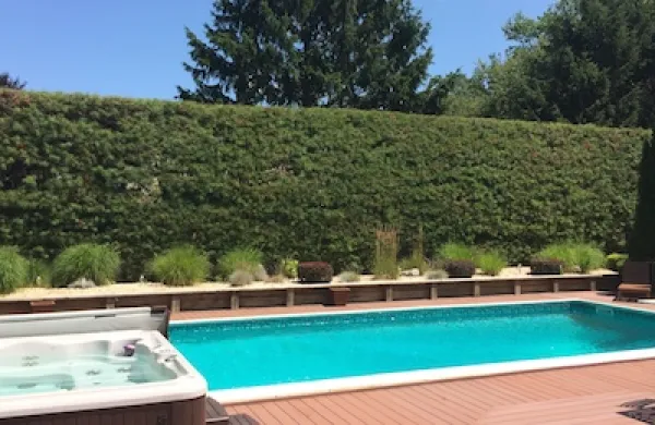 weekend-reading-pool-and-deck-large.jpg