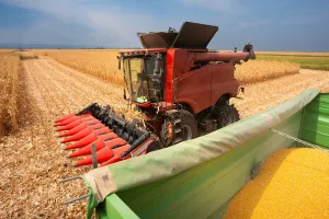While Corn Yield Expectations Trend Higher, Weather Remains a Key Factor