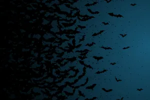 Why Families Need to Plan for Death While Still Alive