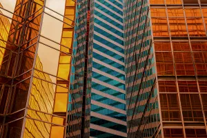 Seeking Resilience in Gravity-defying Stock Markets