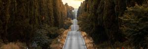 Corporate Defined Benefit Plans Did Better than You Might Think During Recent Volatility