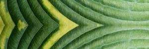 How Endowments and Foundations Can Align Investment Portfolios with Their Missions
