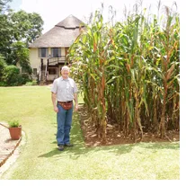 African Farmland