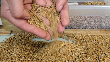 2014-05-gmtl-pimco-ukraine-grain-large.jpg