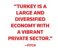 2017-04-turkey-report-quote.gif