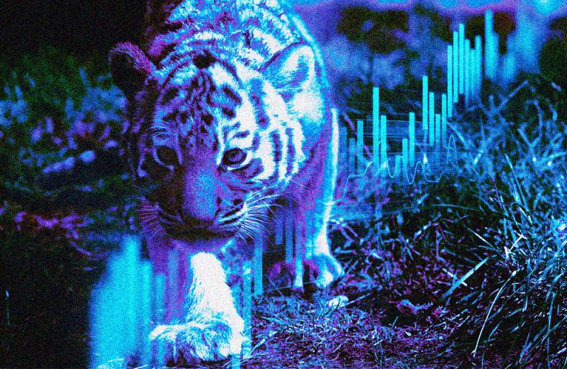 art-tigercub-1017.jpg