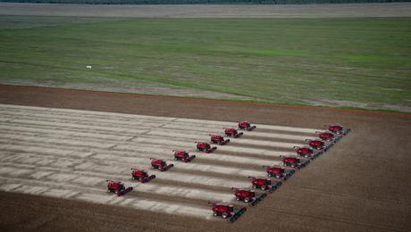 brazil-farm-big.jpg