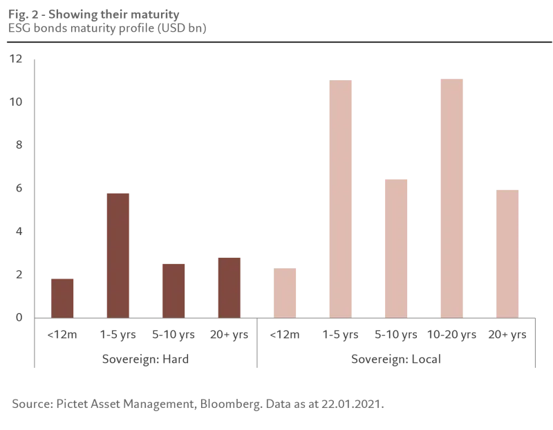 fig-2-showing-their-maturity.png
