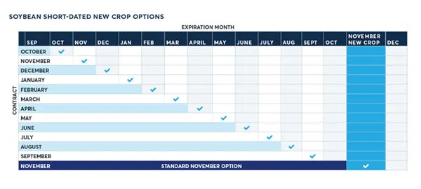 options soybeab schedule
