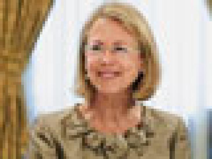 2014-07-fran-denmark-investor-roundtable-d-ellen-shuman-small.jpg