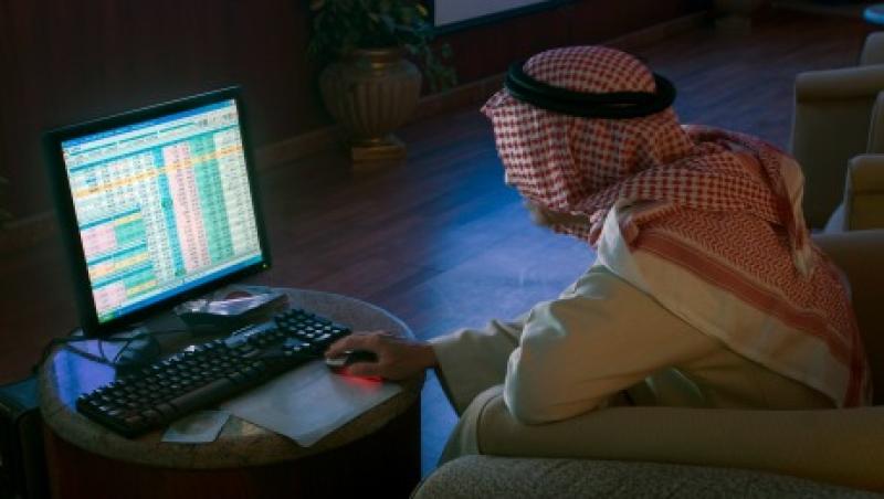 2014-08-ashmore-saudi-investor-large.jpg
