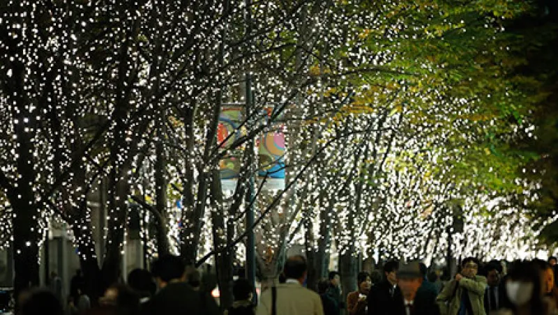 2014-12-weekend-reading-lights-large.jpg