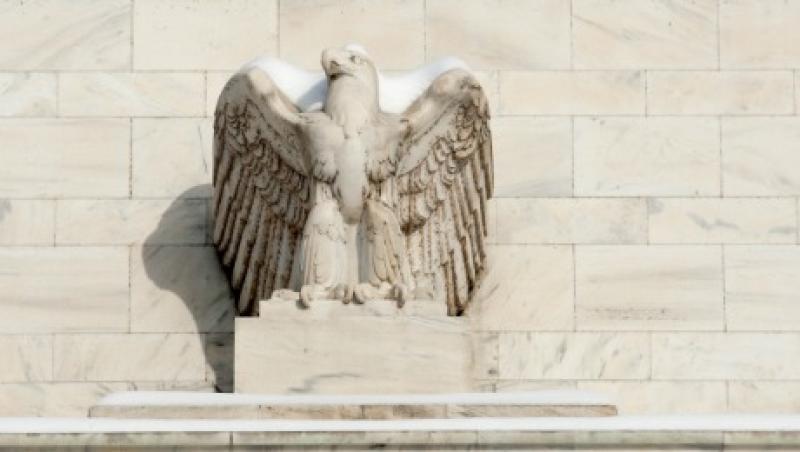 2015-02-da-snow-eagle-fed-large.jpg