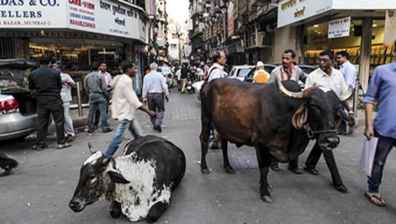 General Retail In And Around Crawford Market Ahead Of Union Budget