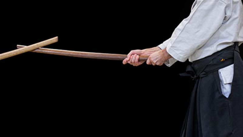 2016-03-ashby-monk-aikido-large.jpg