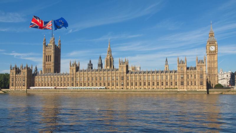 2016-06-tom-buerkle-brexit-london-lg.jpg 2016-06-tom-buerkle-brexit-london-lg.jpg