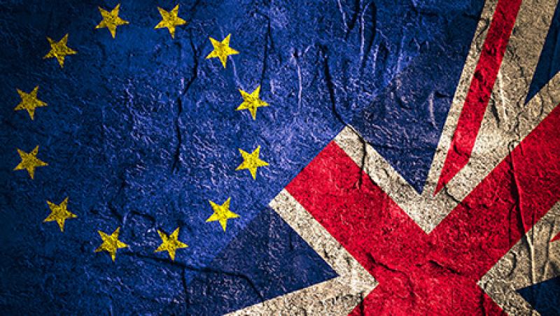 2016-11-bailey-mccann-euro-100-brexit-lg.jpg
