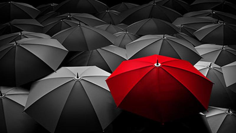 2017-christopher-schelling-investors-discomfort-large.jpg
