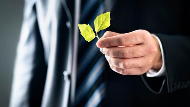 Carbon Markets