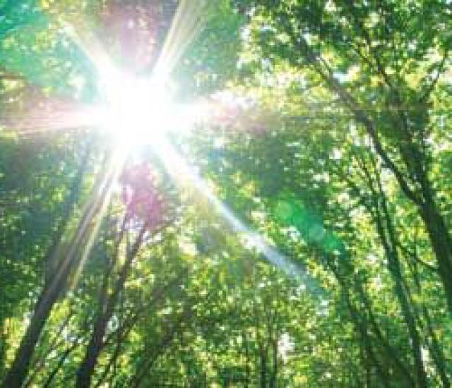 250x215-green-investing.jpg