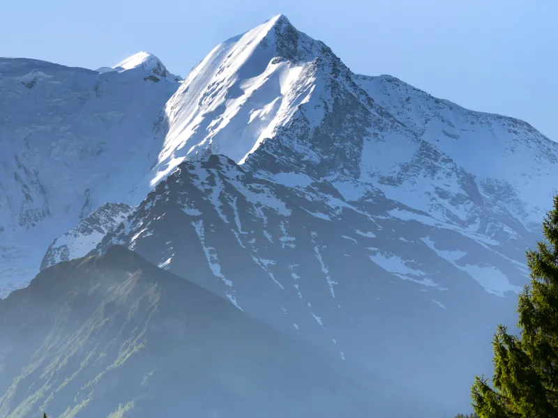 Snow-covered mountain peaks under a clear blue sky, with green trees at the base