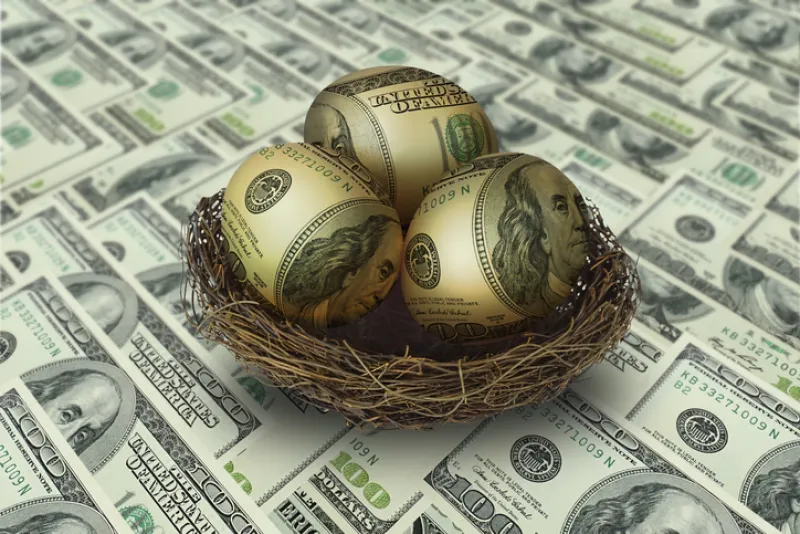 egg shaped money in nest on dollar background egg shaped money in nest on dollar background