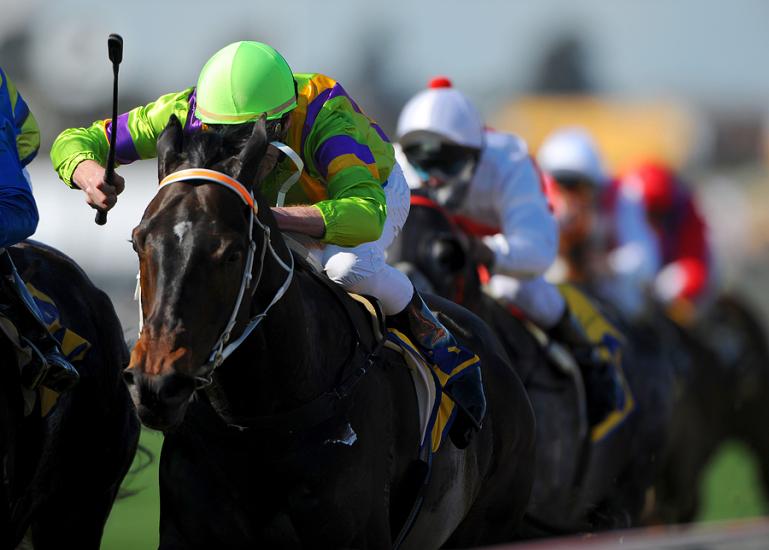 am-annual-returns-horse-race.jpg