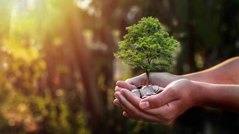 Carbon Offsets