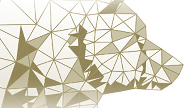 RIA Institute