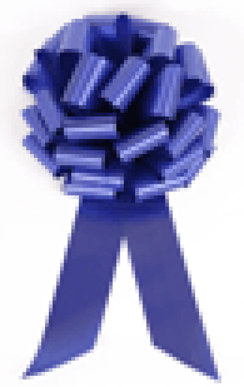 blue-ribbon.gif