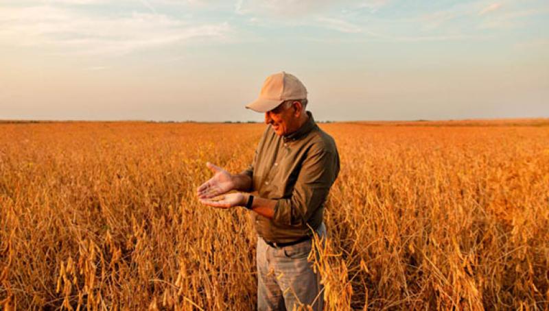 Ag producers
