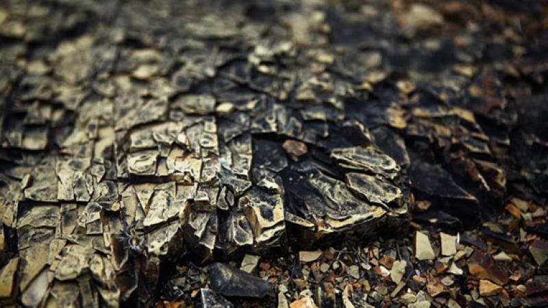 Iron Ore